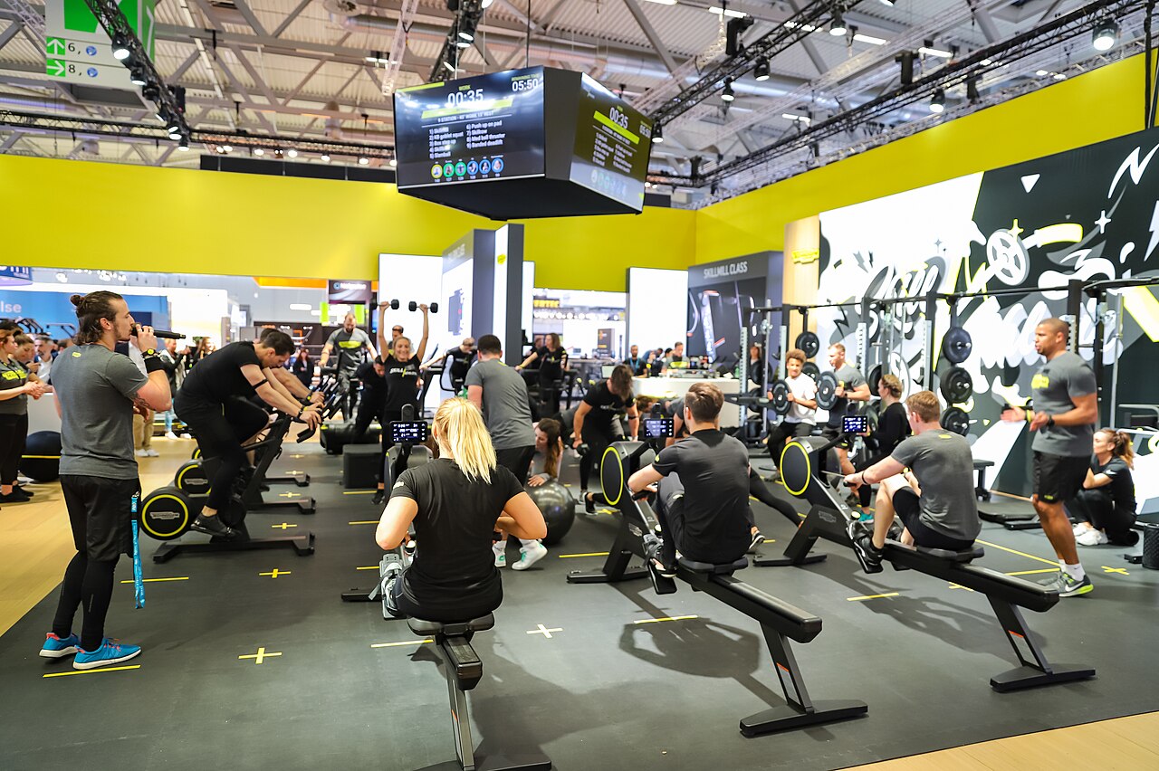 Rameur : quels muscles sont sollicités ?